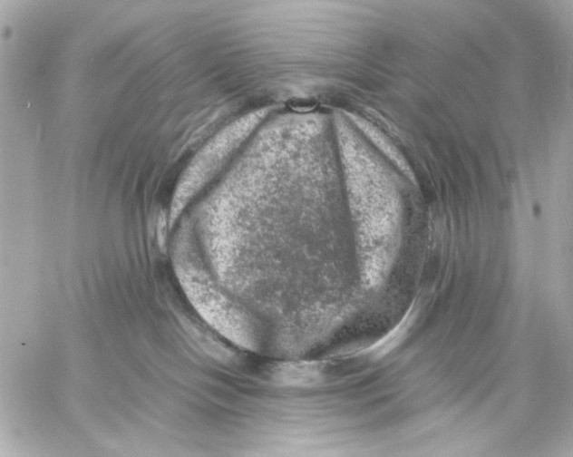 X0000057080094200510071856