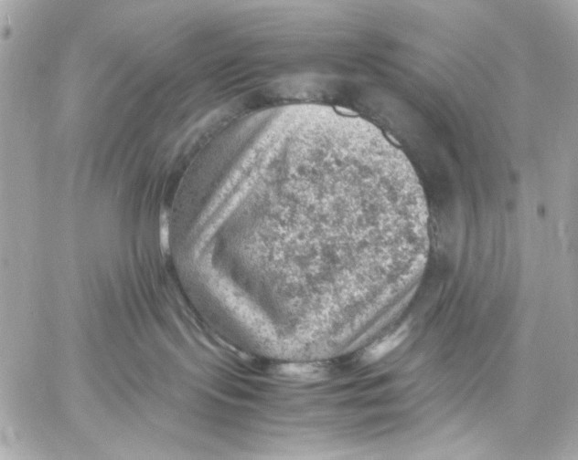 X0000057080095200510071856