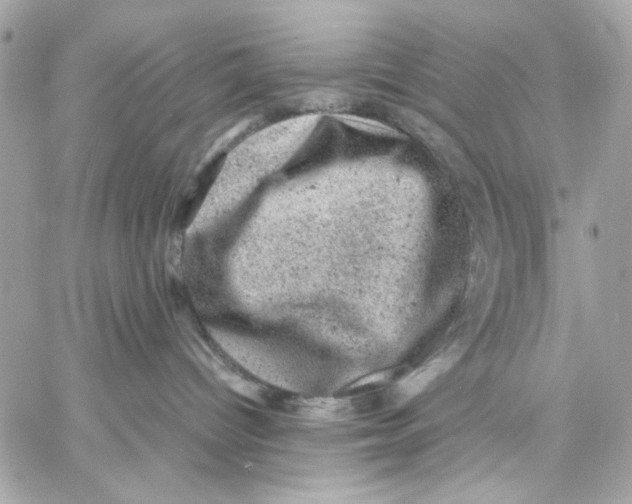 X0000057080096200510071856