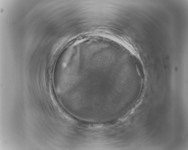 X0000057080097200510071856