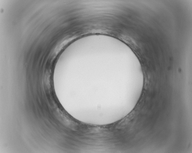 X0000057080098200510071856