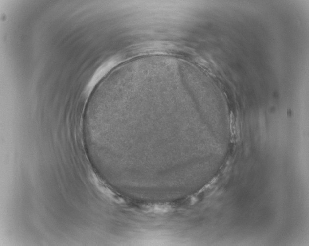 X0000057080099200510071856