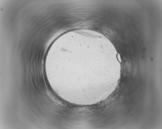 X0000057080100200510071856