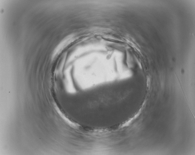 X0000057080101200510071855