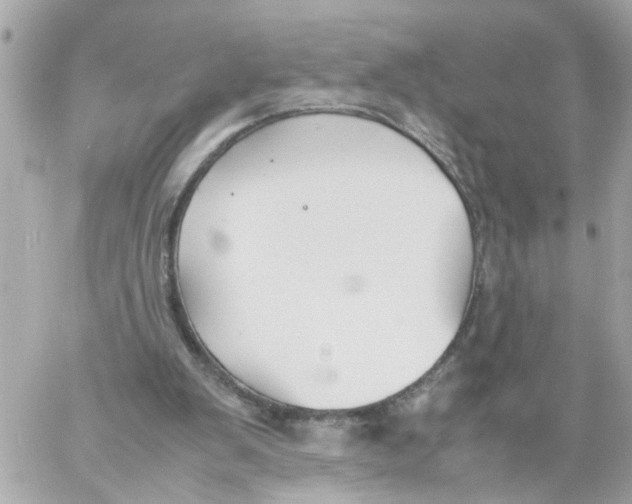 X0000057080103200510071855