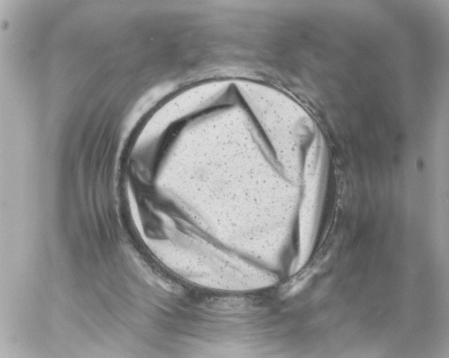 X0000057080104200510071855