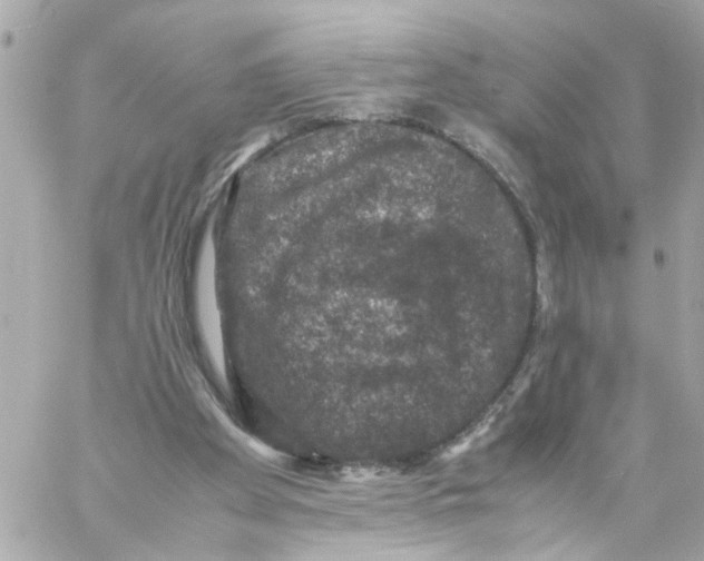 X0000057080105200510071855