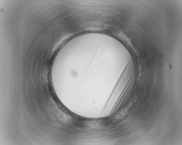 X0000057080106200510071855