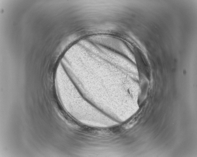 X0000057080107200510071855