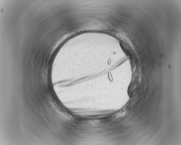 X0000057080108200510071855