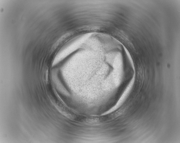 X0000057080110200510071855