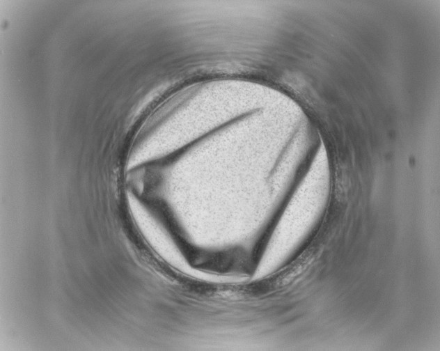 X0000057080111200510071855