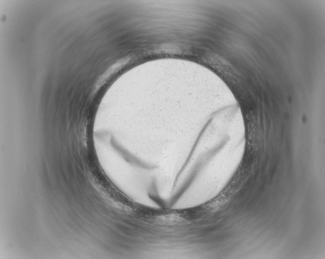 X0000057080112200510071855