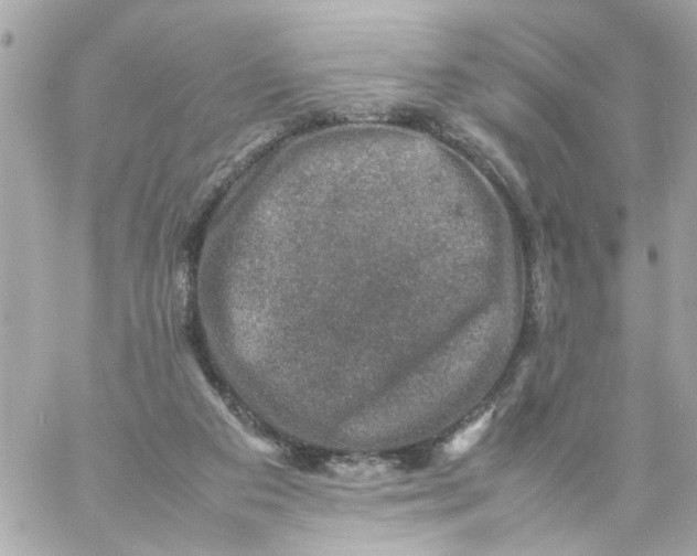 X0000057080113200510071855