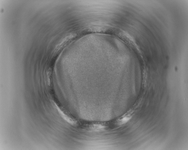 X0000057080114200510071855