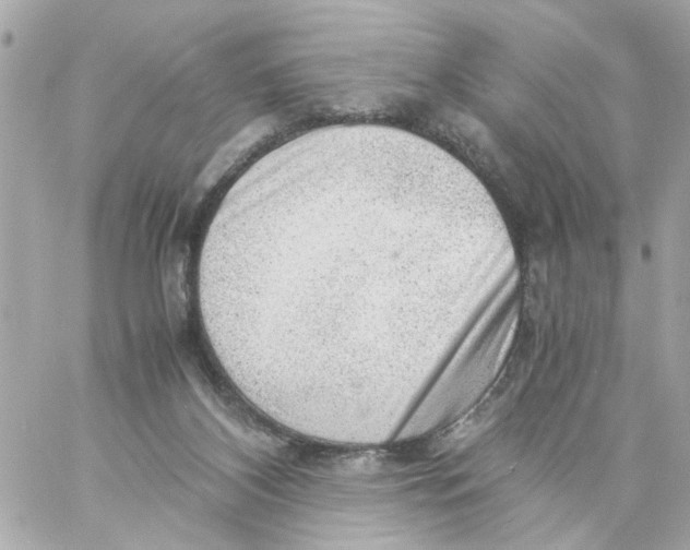 X0000057080116200510071855