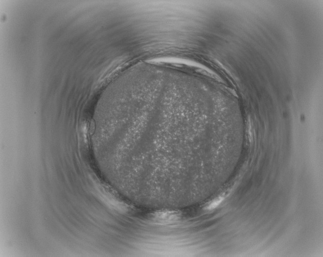 X0000057080117200510071855