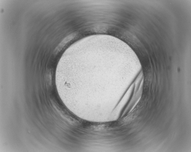 X0000057080120200510071855