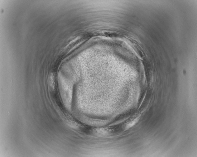 X0000057080121200510071855