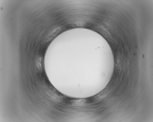 X0000057080122200510071855