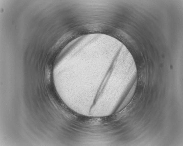 X0000057080124200510071855