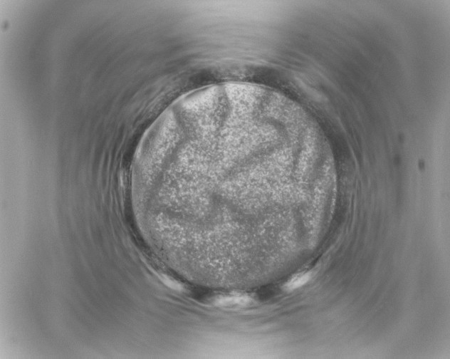 X0000057080125200510071855