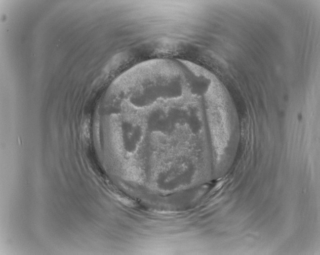 X0000057080127200510071855