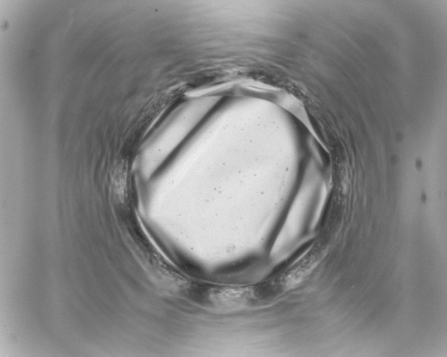 X0000057080129200510071855