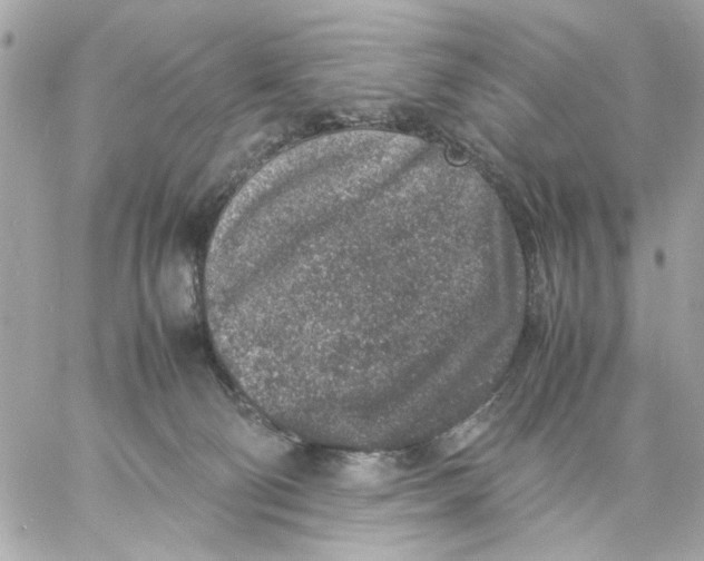 X0000057080130200510071855