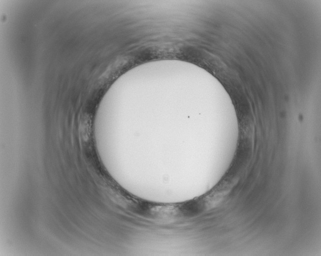 X0000057080133200510071855