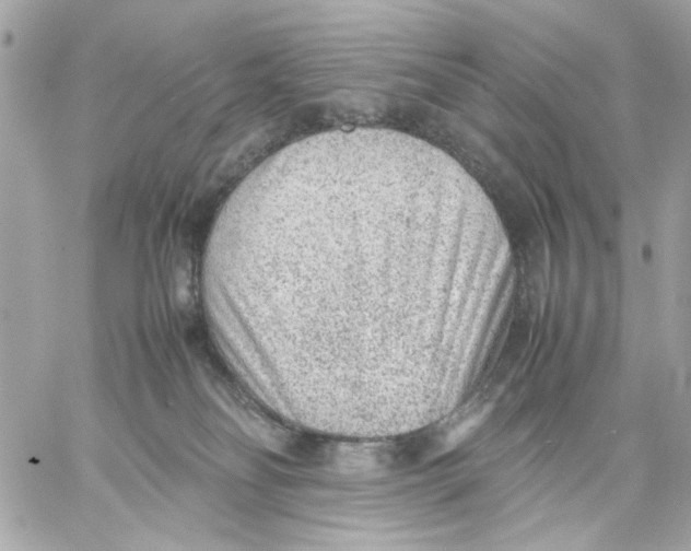 X0000057080134200510071855