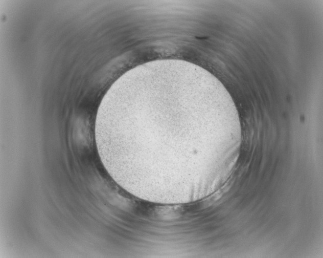 X0000057080136200510071855