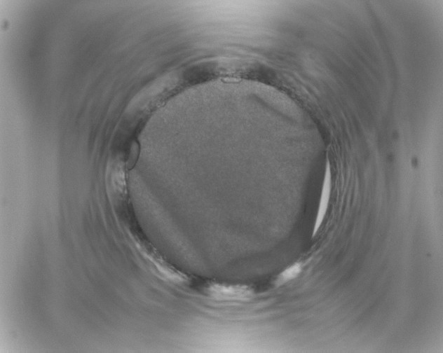 X0000057080137200510071855