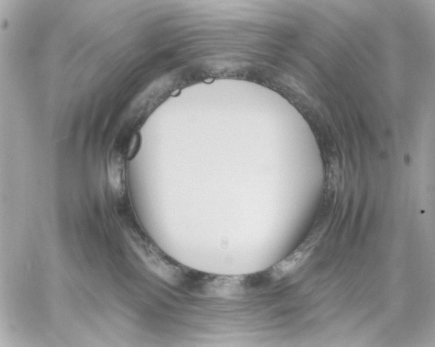 X0000057080138200510071855