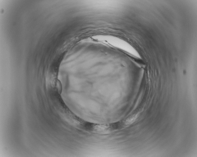 X0000057080139200510071855