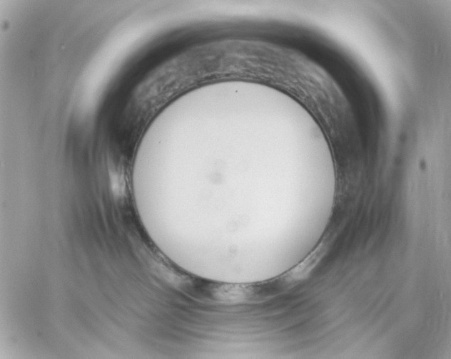 X0000057080142200510071855