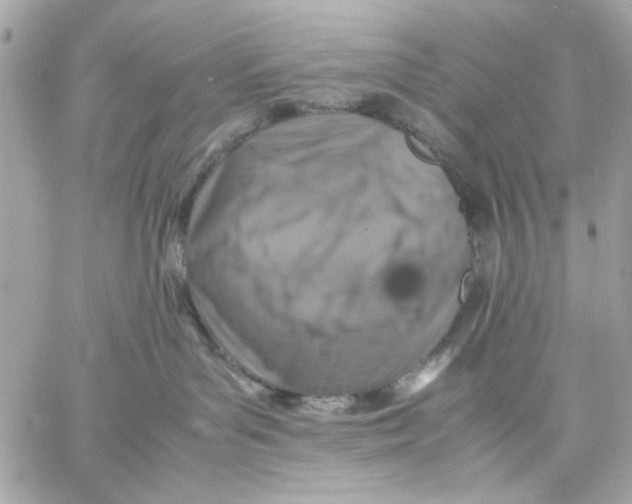 X0000057080143200510071855