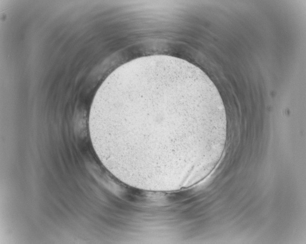 X0000057080144200510071855