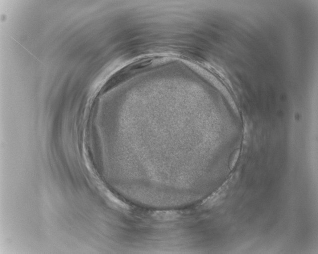 X0000057080145200510071854