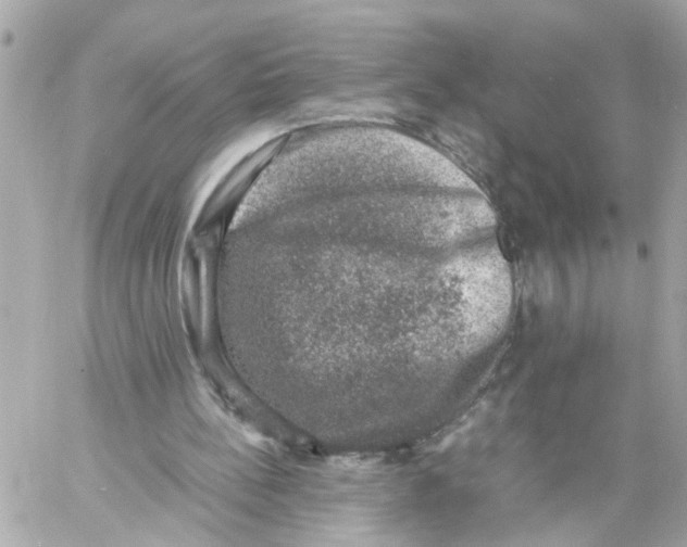 X0000057080148200510071854