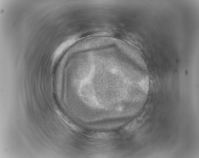 X0000057080149200510071854