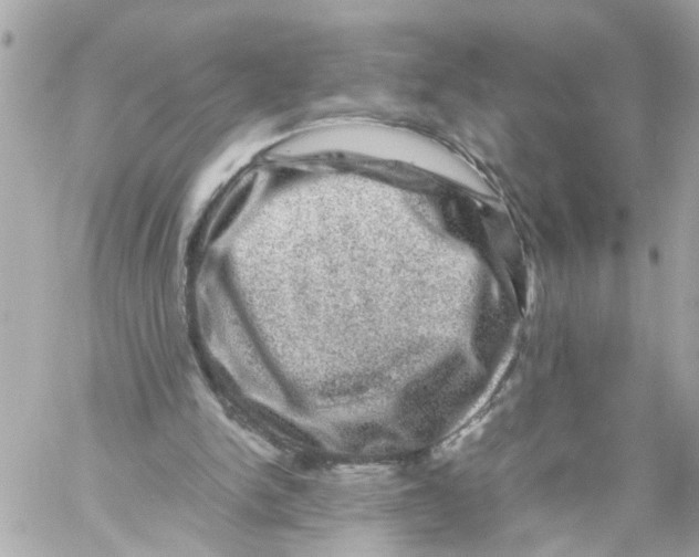 X0000057080150200510071854