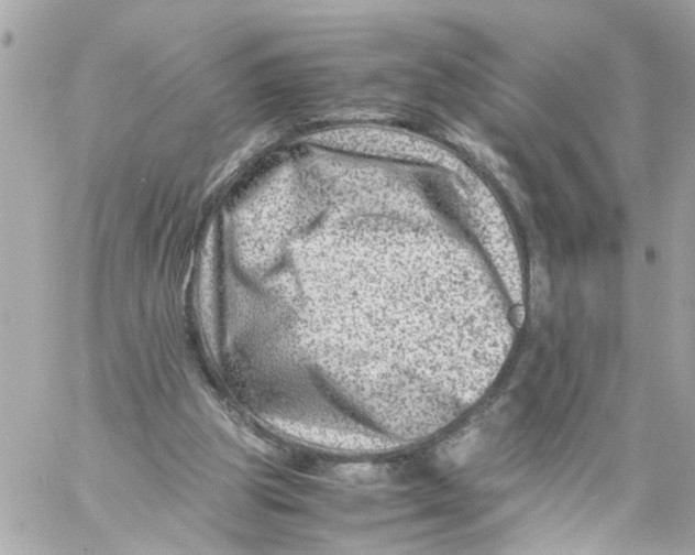 X0000057080153200510071854