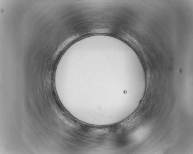 X0000057080155200510071854