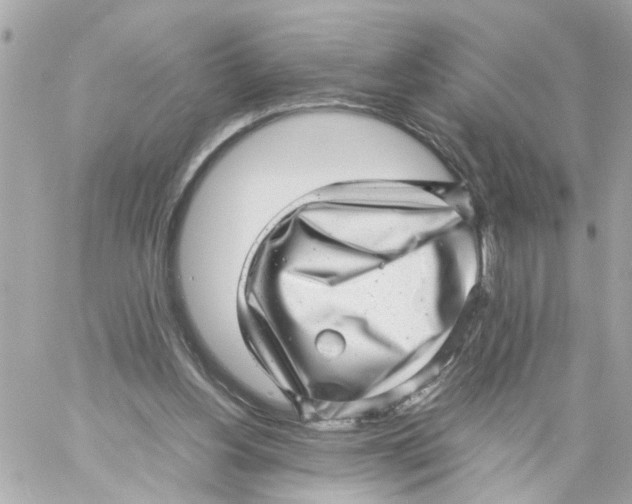 X0000057080156200510071854