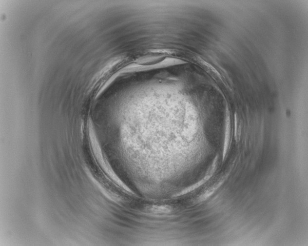 X0000057080157200510071854