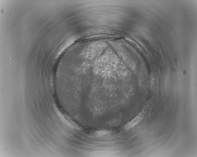 X0000057080158200510071854