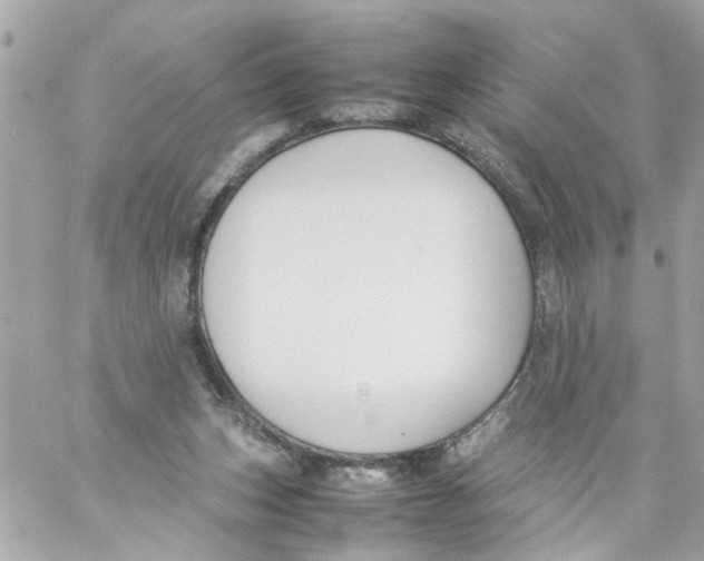 X0000057080159200510071854