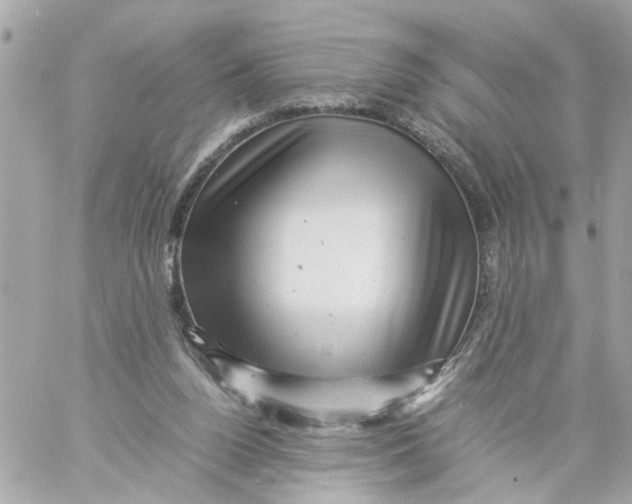 X0000057080160200510071854