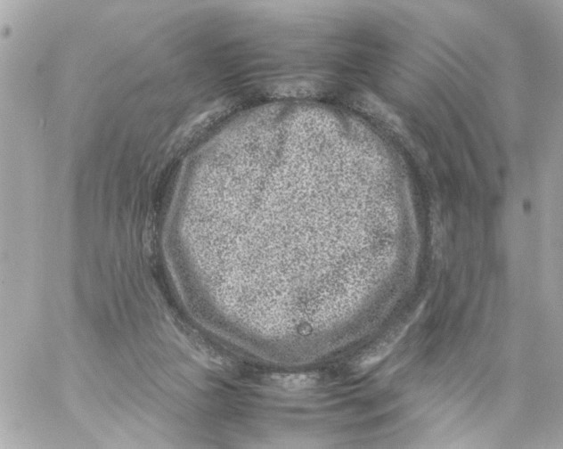 X0000057080161200510071854